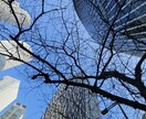 風景写真素材提供いたします 日本国内風景写真60000枚ほどございます。 イメージ4