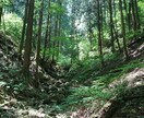 奥多摩へ、裏高尾の日帰り登山ご相談にのります 奥多摩、高尾山、南高尾、裏高尾の日帰り登山のご相談にのります イメージ5