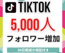 TikTokフォロワー5,000人増加させます 現役ティックトッカーのフォロワーに宣伝！コスパ最強！ イメージ1