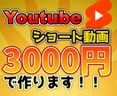 Short動画編集を安価に承ります Youtubeデビューをより簡単に イメージ1