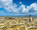 即日作成！国内の旅プラン・旅しおり作成します 行き先・日程・予算に合わせて、プロの旅人が最適プランを提案！ イメージ1