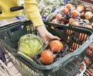 野菜料理についての悩み、相談にのります 簡単で美味しいレシピ、栄養価も高い料理、お手伝いします！ イメージ2
