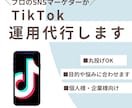 TikTokの運用代行をします プロのSNSマーケターがTikTok運用代行をいたします！ イメージ1