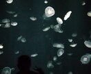 つわりが死ぬほどしんどい方、辛い気持ちお聞きします 妊娠が判った時は嬉しかったけど悪阻がこんなに苦しくて辛いとは イメージ2