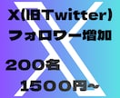 5名限定　Xのフォロワーお値打ちに増やします 実績作りのため、お試し特価でのご提供です! イメージ1
