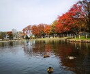 季節の写真提供します 色々な季節や風景の写真提供します！ イメージ2