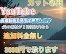 あなたのYouTube動画をカット編集します ２時間以内であれば対応可能。一律3000円 イメージ1