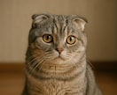 愛猫のお写真からLINEスタンプ作成します 24時間以内に納品！愛猫スタンプ8個セット イメージ2