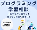 プログラミング学習に関するご相談に乗ります 文系・未経験からエンジニアになった私が全力でサポートします！ イメージ1