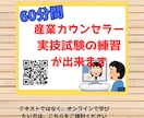 産業カウンセラー実技試験対策PDFをお届けします ロープレや振り返りのコツなど好きな時間にテキストから学べます イメージ8