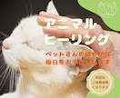 大切なペットさんへアニマルヒーリングをします ✤動物さんの健やかな毎日のお手伝い✤お家でゆったりヒーリング イメージ1