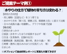 自由研究のテーマ提案から構成までを一緒に考えます 即日納品可能です！先着10名様限定で基本料1500円です！ イメージ2