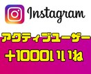 Instagram高品質いいね+1000増やします 実際のアクティブユーザーからいいねが届く唯一無二のサービス！ イメージ1