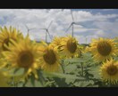 撮影から納品まで写真素材作成します ライト仕上げで格安提供！写真オールジャンル承ります イメージ8