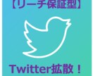 Twitterで特定内容の投稿を増やします 【50万リーチ保証側】Twitter拡散！ イメージ1