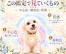 ペットさんの魂の色と特性を読み解きます 〜この子は、どんな魂？色と質感から見ていきます〜 イメージ2