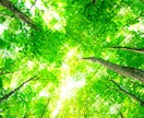 新規様専用☆霊視であなたをお救い致します 運命を読み取り最善の方法をアドバイス致します イメージ1