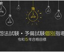 合格者が司法試験・予備試験の個別指導をします 【R5合格目標】オーダーメイドの個別指導で効率的に実力UP！ イメージ1