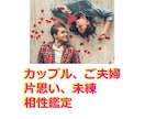 西洋占星術★ホロスコープで相性鑑定いたします ★お2人の相性をシナストリーで詳細鑑定★ イメージ2