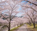女性限定♡どんな恋愛の悩みも親身にお聞きします 迷いや不安、胸の内は吐き出すことで動きだすものです イメージ4
