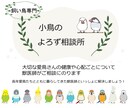 小鳥専門：愛鳥の心配ごとに獣医師がお答えします 飼い主様と愛鳥さんの幸せな毎日をお手伝いします イメージ1