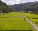 移住・田舎暮らしの相談のります 東京から移住3年目。長野の山奥で中古物件を購入しました。 イメージ1