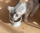 複雑恋愛、誰にも言えない悩み✨占います モヤモヤした気持ち、スッキリさせませんか？ イメージ7