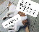 なんで既読スルーするのかにゃ？にゃんこが占います 猫が届ける本音占い。既読スルーの理由占います イメージ1