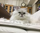 書類の清書を行います 手書きの文書をワープロ文書に仕上げます。 イメージ1