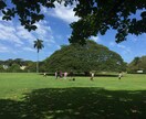 ハワイへ語学留学してみたい方へアドバイスできます 語学留学でハワイに行ってみたい方へ イメージ1