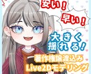 高品質☆低価格　のVtuberを作成しますます Live2Dモデリングのみも大歓迎！ イメージ1