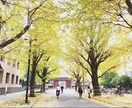 定期テスト〜高校大学受験までアドバイスします 現在の学力にかかわらず今から何をすれば良いかのアドバイスです イメージ1