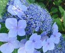 あなたの悩みを深掘り具体的な解決策を模索します 仕事の悩み、恋愛の悩み、今と昔の世代悩みなど イメージ3