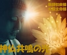 神仏共鳴の光、薬師如来様と大国主大神様と繋がります 超希少、神仏共鳴の光は仏様と神様が共鳴する癒しの伝授・究極神 イメージ1