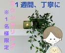 １週間じっくりあなたのお話をお聴きします １週間じっくりあなたの心を解きほぐしませんか？ イメージ1