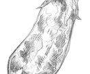 繊細で美しい小物の線画イラストを作成します 食べ物・花・小物のご依頼承ります。 イメージ6