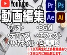 各種動画編集・依頼主様のご希望を第一に作成します クオリティーとスピード重視｜1本1本丁寧に仕上げます！ イメージ1