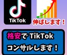 TikTokで有名になるためのコンサルをします TikTokで有名になりたい方を格安で導きます！ イメージ1