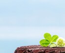 24時間、心のリノベーションします 自分は自分！それでいいと思いますよ♪ イメージ2