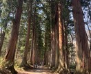 旅行先のおすすめの場所の提供やアドバイスをします 国内旅行をしていた私の行って損しない場所をお伝えします イメージ8