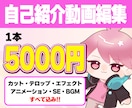 自己紹介動画作ります 完全オリジナルでお作り致します！ イメージ1