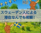 スウェーデン人による現地滞在に関する相談にのります ネイティヴだからこそ本当の現地情報や滞在の不安を即解消！ イメージ1