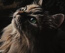 職場での人間関係、評価等タロットで占います 不安なお気持ちなど、なんでもお聞かせください。 イメージ1