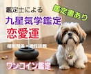 九星気学で恋愛運の総合鑑定を行います 「本来の自分」を知り我慢しない恋愛をしましょう イメージ1