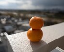 写真のレタッチ(編集)を致します 写真が見違えるほど綺麗に仕上げます！ イメージ3