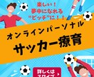 オンラインパーソナルサッカー療育を提供します 「自宅」が夢中になれる、楽しいピッチに！ イメージ1