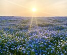 1日チャット＊あなたの心にじっくり寄り添います 孤独｜不安｜恋愛｜通話が苦手な方もお気軽にお話しくださいね♡ イメージ4