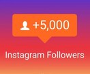 Instagramフォロワー5000人増やします instagramのフォロワーを増やします イメージ1
