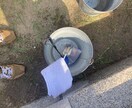1時間二千円。お墓掃除、お墓参り代行します 公共交通機関が届いている所であれば。 イメージ2