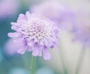現役看護師があなたの夢を応援します チャットで対応！夢や目標達成に向けて密着サポート！ イメージ2